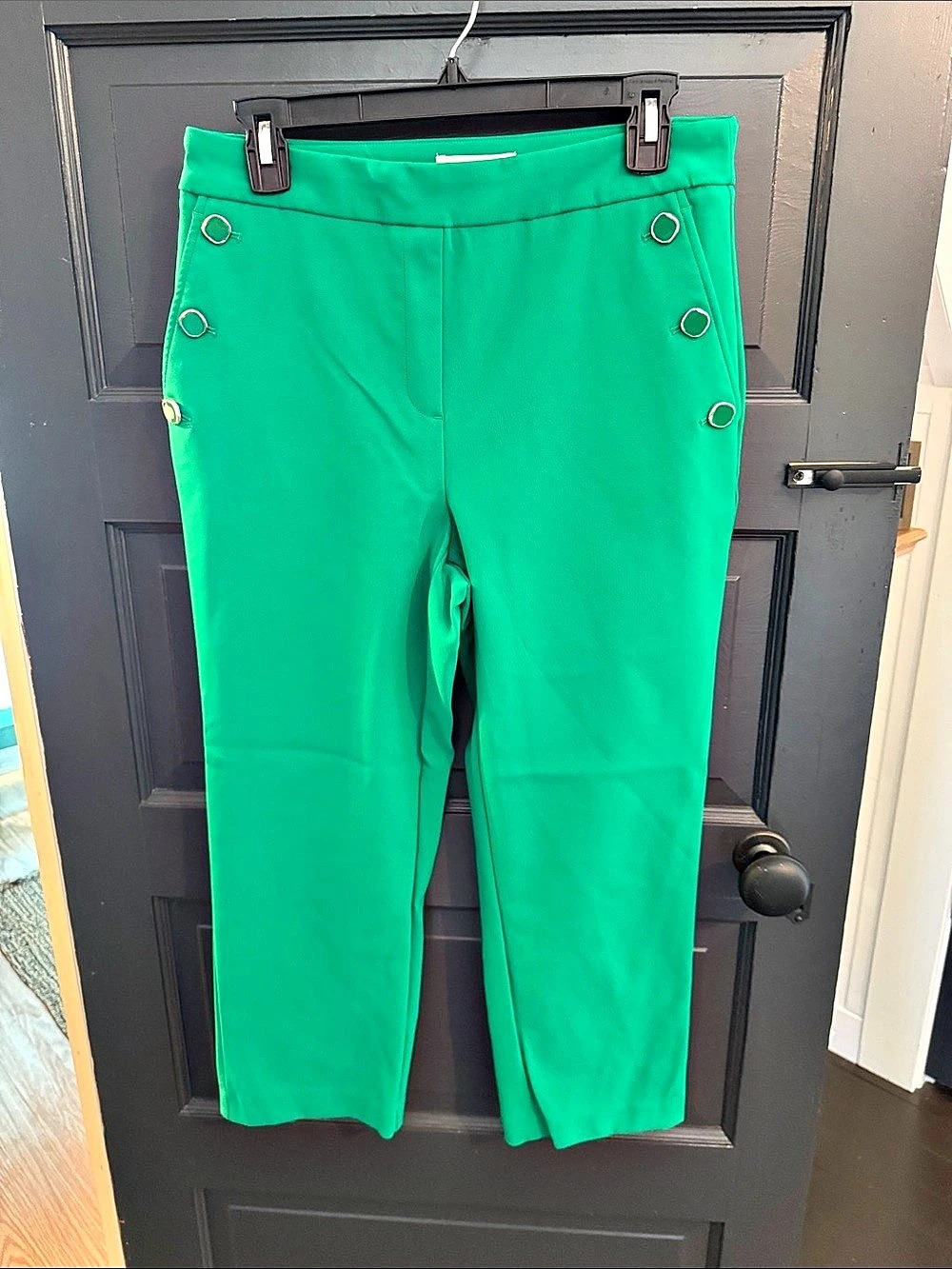 Rachel Zoe Green Straight Leg cropped Pants Size 6 Like New